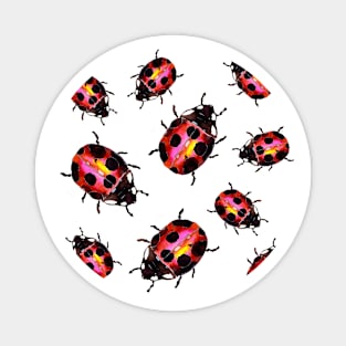 Watercolor Ladybugs Magnet